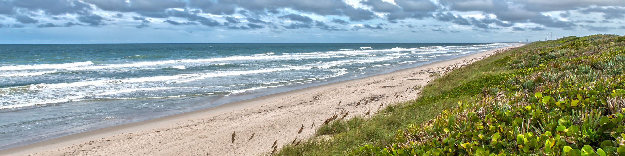 beach with dune vegetation